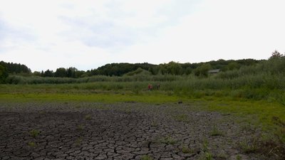 тернопіль, борщівка, ставок, 14 серпня 2026 року