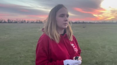 У Запоріжжі випустили на волю близько 150 червонокнижних кажанів У Запоріжжі випустили на волю близько 150 червонокнижних кажанів