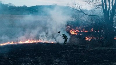 Штрафи за підпал сухостою