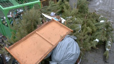 У Черкасах комунальники збирають і утилізують новорічні ялинки