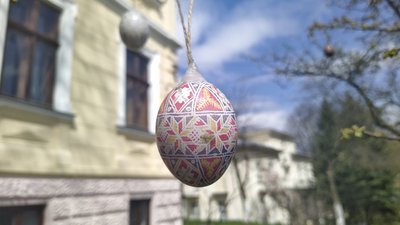 Львівські пластуни прикрасили писанками дерева у Домі Франка Львівські пластуни прикрасили писанками дерева у Домі Франка