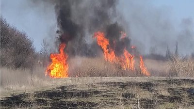 На Харківщині нагородили 80-річного дідуся, який самостійно загасив пожежу на мосту між двома селами На Харківщині нагородили 80-річного дідуся, який самостійно загасив пожежу на мосту між двома селами