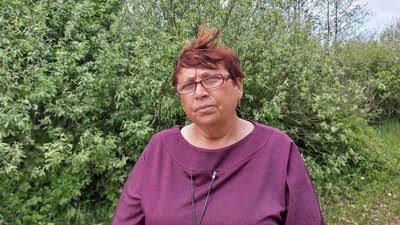 У селі Високе на Житомирщині п'ять корів отруїлися залишками добрив, двоє з них — загинули У селі Високе на Житомирщині п'ять корів отруїлися залишками добрив, двоє з них — загинули