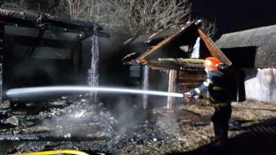 На Житомирщині на пожежі загинула мама з семирічною донькою