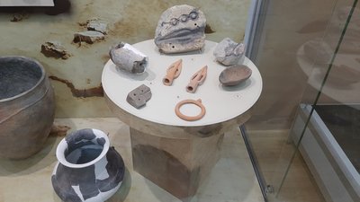 Дикий сад Дикий сад