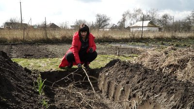 Олена облаштовує теплі грядки. Олена облаштовує теплі грядки.