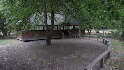 У вінницькому дендропарку, якому понад півстоліття, вирощують близько 170 видів дерев У вінницькому дендропарку, якому понад півстоліття, вирощують близько 170 видів дерев