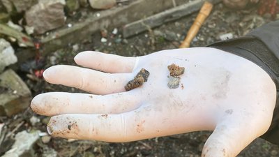 У Миколаєві від вибуху гранати загинув чоловік У Миколаєві від вибуху гранати загинув чоловік