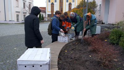 У Вінниці висадили квіти у пам'ять про загиблих оборонців