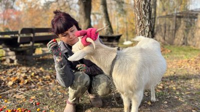 У Луцькому зоопарку готуються до зими: скільки грошей треба У Луцькому зоопарку готуються до зими: скільки грошей треба