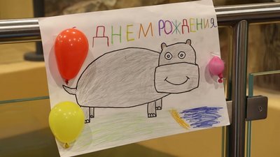 У Харкові відсвяткували день народження бегемота У Харкові відсвяткували день народження бегемота