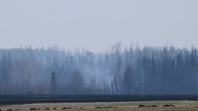 Авіація, артилерія, міномети та РСЗВ: російські війська протягом тижня обстріляли 18 прикордонних сіл Чернігівщини