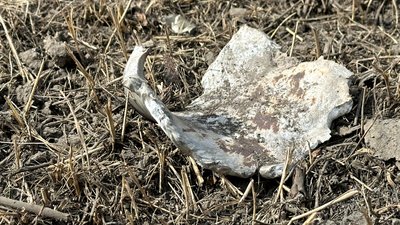 На Донеччині двоє дітей підірвались на невідомому вибухонебезпечному предметі