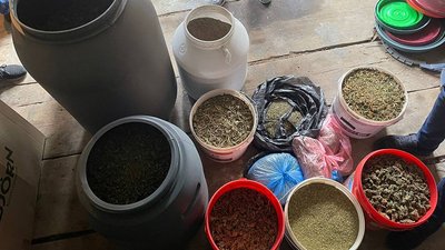 Близько 3 тисяч патронів та наркотики. Правоохоронці затримали київських торговців Близько 3 тисяч патронів та наркотики. Правоохоронці затримали київських торговців