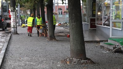 У Житомирі на Театральній дерева, яким підрубали коріння під час будівельних робіт, можуть загинути