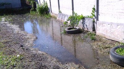Вода у дворах і дикі качки на затоплених городах у селі на Житомирщині: що кажуть місцеві жителі та як реагує влада Вода у дворах і дикі качки на затоплених городах у селі на Житомирщині: що кажуть місцеві жителі та як реагує влада