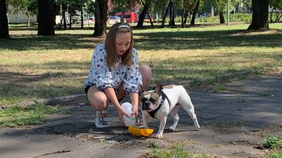 Дівчинка з Кривого Рогу вигулює собак і збирає гроші на допомогу ЗСУ Дівчинка з Кривого Рогу вигулює собак і збирає гроші на допомогу ЗСУ