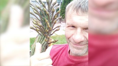 46 квіток на кактусі. Франківець поділився секретами догляду 46 квіток на кактусі. Франківець поділився секретами догляду