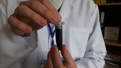 У Сумах досліджують властивості біологічних матеріалів У Сумах досліджують властивості біологічних матеріалів