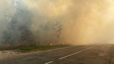 Пожежі в екосистемах у трьох районах Сумщини гасили рятувальники (ВІДЕО) Пожежі в екосистемах у трьох районах Сумщини гасили рятувальники (ВІДЕО)
