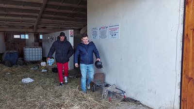 Розстріляні коні у Бучі: як шукали та рятували вцілілих Розстріляні коні у Бучі: як шукали та рятували вцілілих