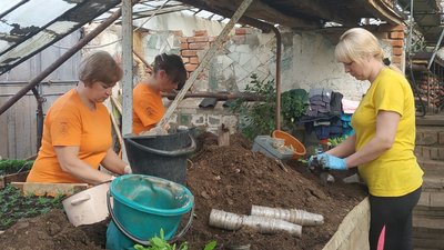 Сальвія, бегонія та петунія: на клумбах Полтави цьогоріч планують висадити понад 120 тисяч квітів Сальвія, бегонія та петунія: на клумбах Полтави цьогоріч планують висадити понад 120 тисяч квітів