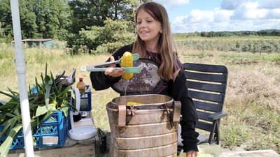 "Прийшла війна, і всі мої плани перекреслила": як волиняни почав вирощувати кукурудзу, фундук та обліпиху "Прийшла війна, і всі мої плани перекреслила": як волиняни почав вирощувати кукурудзу, фундук та обліпиху