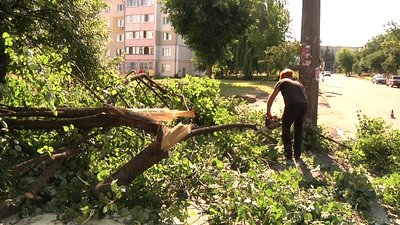 У Житомирі комунальники з ночі почали прибирати місто від повалених вітром дерев У Житомирі комунальники з ночі почали прибирати місто від повалених вітром дерев