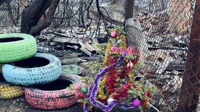 Новини Сумщини 23-29 грудня 2024