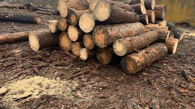 "Ми завозимо населенню: людям з інвалідністю, багатодітним". У прифронтових громадах Криворіжжя видають дрова