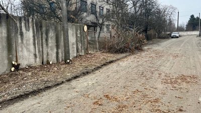 Деревину передадуть на потреби комунальної сфери: територію Малина на Житомирщині розчищають від чагарників і самосію Деревину передадуть на потреби комунальної сфери: територію Малина на Житомирщині розчищають від чагарників і самосію