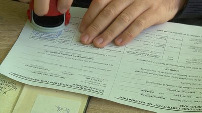 видача сертифікатів видача сертифікатів