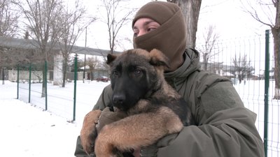 собаки нацгвардія собаки нацгвардія
