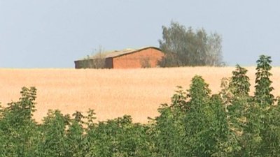 Повторно оголосили тендер на утилізацію 12 тонн пестицидів в селі на Сумщині