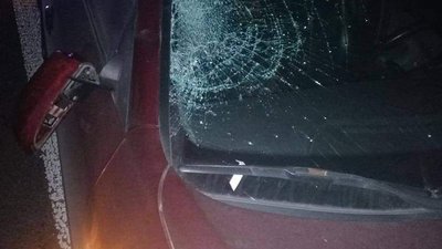 Під Житомиром сталася смертельна ДТП – загинув пішохід