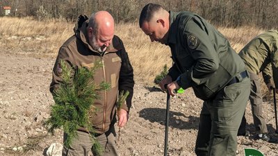 У Миколаївській та Одеській областях планують висадити 34 мільйони нових дерев У Миколаївській та Одеській областях планують висадити 34 мільйони нових дерев