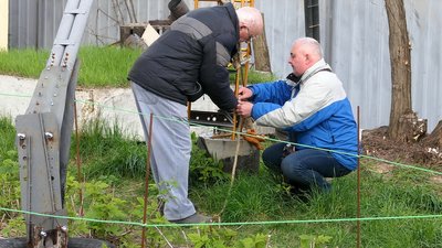 У Шостці на Сумщині 82-річний пенсіонер встановив вітряну електростанцію У Шостці на Сумщині 82-річний пенсіонер встановив вітряну електростанцію