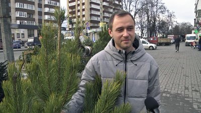 На ярмарках Луцька провели рейд: чи продавали сосни і ялинки з порушеннями На ярмарках Луцька провели рейд: чи продавали сосни і ялинки з порушеннями