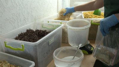 Волонтерка розфасовує сушені овочі. Волонтерка розфасовує сушені овочі.