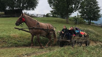 "Місце, де можна забути про війну": як у Карпатах працює "Лісова школа" для дітей-переселеців "Місце, де можна забути про війну": як у Карпатах працює "Лісова школа" для дітей-переселеців