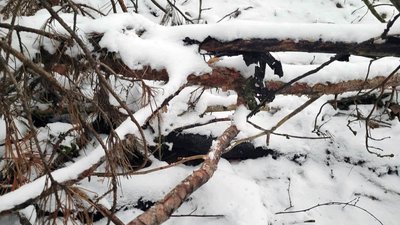 Затриманий за угон мопеда та наругу над могилами зізнався у вбивстві Затриманий за угон мопеда та наругу над могилами зізнався у вбивстві