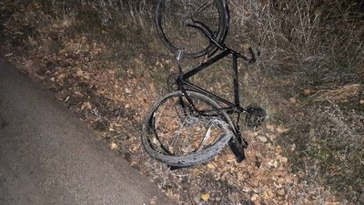На Чернігівщині в ДТП загинув велосипедист На Чернігівщині в ДТП загинув велосипедист