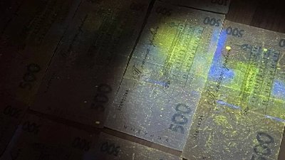 СБУ затримали посадовця, якого підозрюють у вимаганні хабарів на території одеських портів СБУ затримали посадовця, якого підозрюють у вимаганні хабарів на території одеських портів