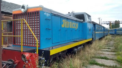 Кукушка Кукушка