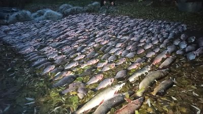 На Херсонщині водні поліцейські виявили браконьєрів із уловом близько 400 кг риби