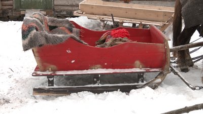 Сани можуть прослужити все життя Сани можуть прослужити все життя