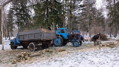 У Центральному парку Луцька зрізають аварійні та всохлі дерева У Центральному парку Луцька зрізають аварійні та всохлі дерева