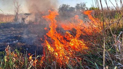На Черкащині за добу ліквідували сім пожеж