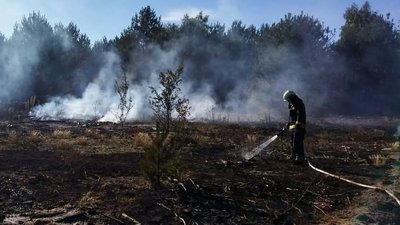Ліквідація пожежі на Волині