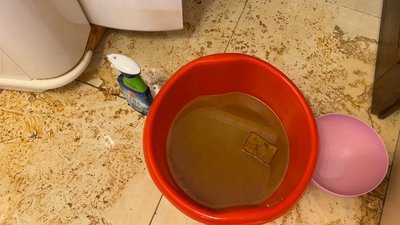 Жителька Миколаєва показала як технічна вода пошкодила комунікації в її будинку Жителька Миколаєва показала як технічна вода пошкодила комунікації в її будинку